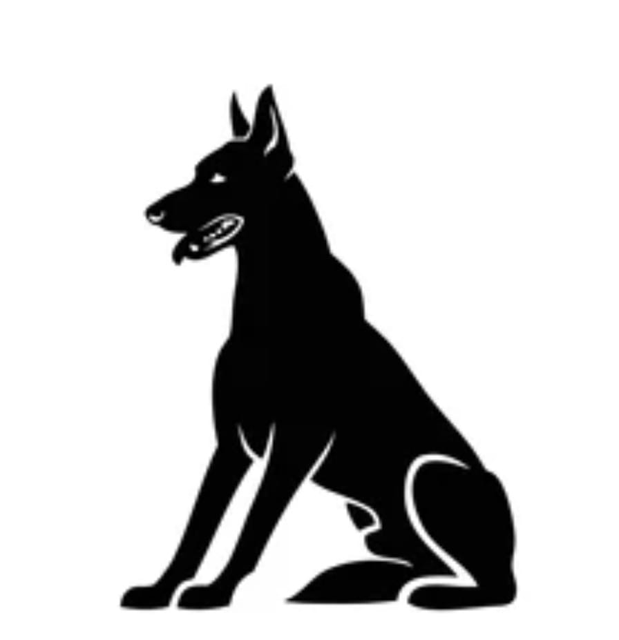 Realität vs. Irrealität